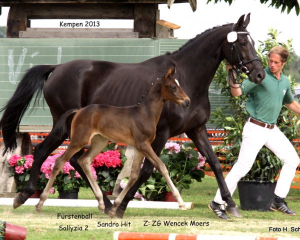 dressage horse Stute von Fürstenball (Rhinelander, 2013, from Fürstenball)