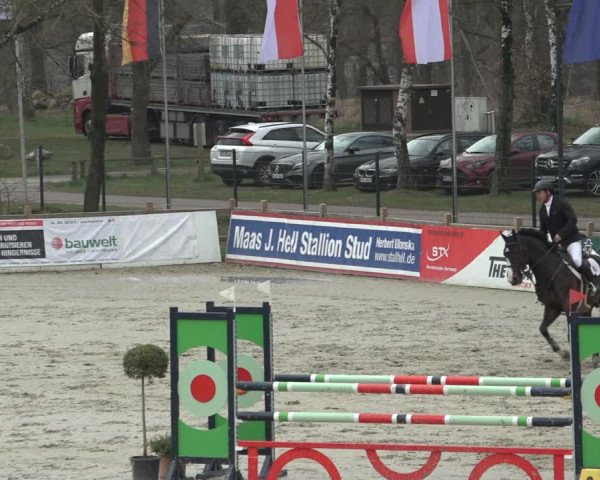 FEI Reitturnier Westergellersen (GER) 2022