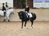 dressage horse Gladdys girl (Württemberger, 2003, from Gardez)