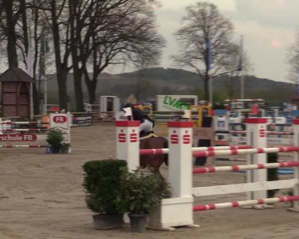 Lenklarer Reitertage 2022 (Werne)