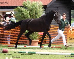 broodmare La Bougie (Rhinelander, 2010, from Lord Loxley I)