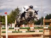 stallion Dialevisto (German Sport Horse, 2014, from Diacontinus)