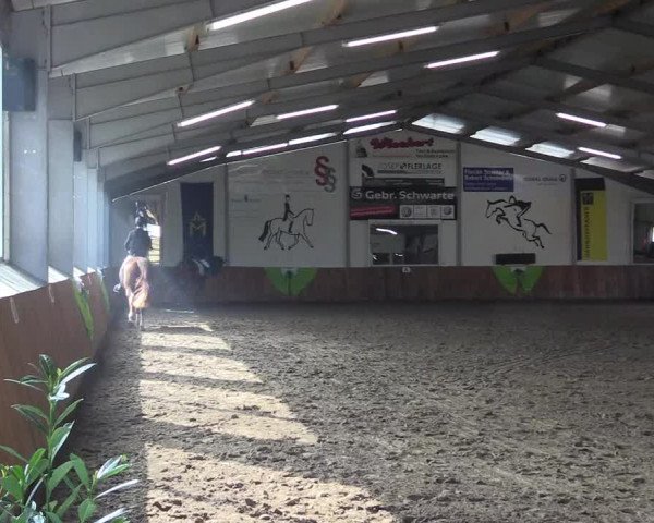 Reitturnier Dohren 2022