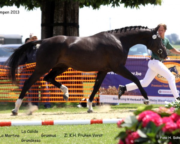 jumper La Martina (Rhinelander, 2010, from La Calido)