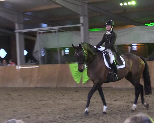 Reitturnier Dohren 2022