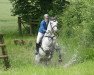 dressage horse Levino (Oldenburg, 2004, from Lucky-Man)