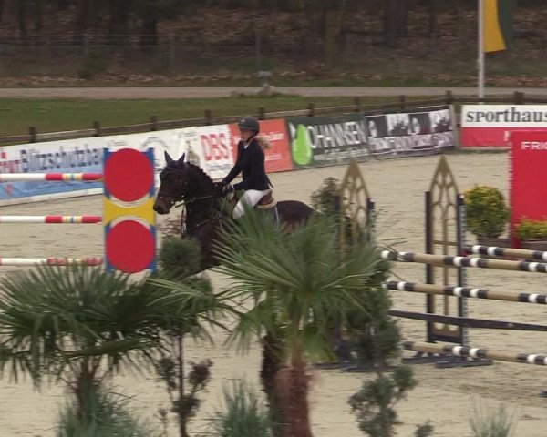 FEI Reitturnier Westergellersen (GER) 2022