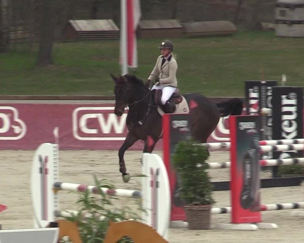 FEI Reitturnier Westergellersen (GER) 2022