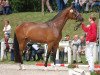 dressage horse Fia Roma (Westphalian, 2010, from Fürst Romancier)