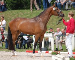 dressage horse Fia Roma (Westphalian, 2010, from Fürst Romancier)