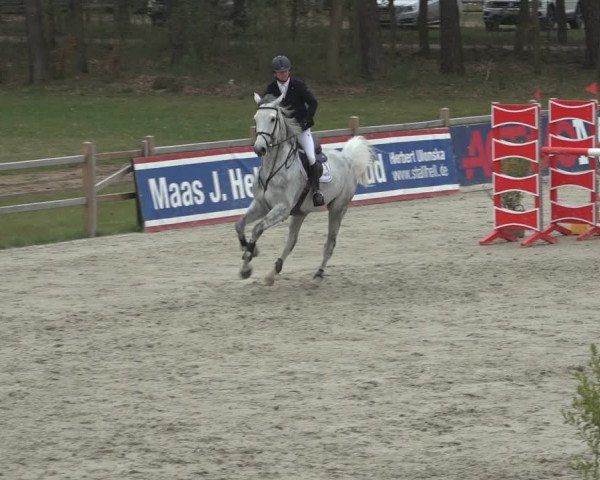FEI Reitturnier Westergellersen (GER) 2022