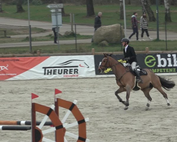 FEI Reitturnier Westergellersen (GER) 2022