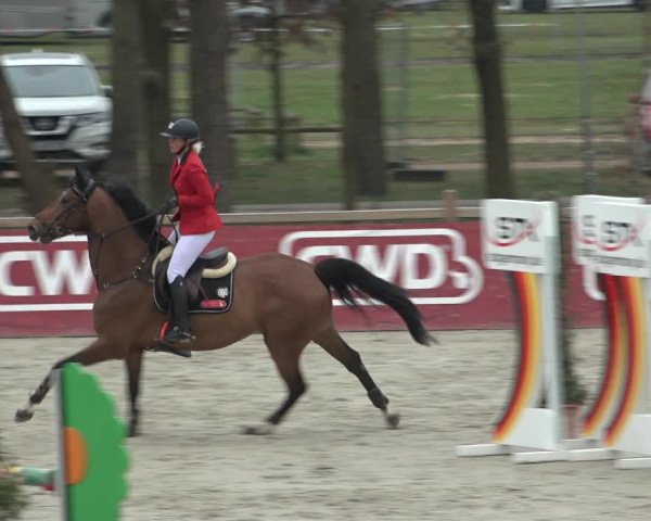 FEI Reitturnier Westergellersen (GER) 2022