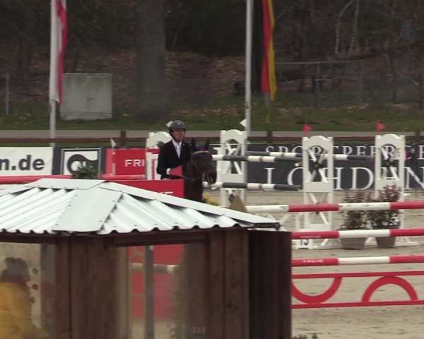 FEI Reitturnier Westergellersen (GER) 2022
