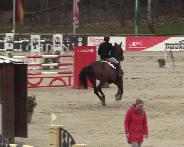 FEI Reitturnier Westergellersen (GER) 2022