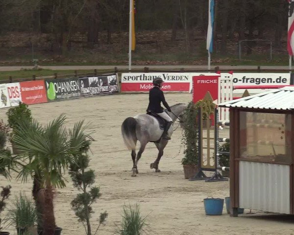 FEI Reitturnier Westergellersen (GER) 2022