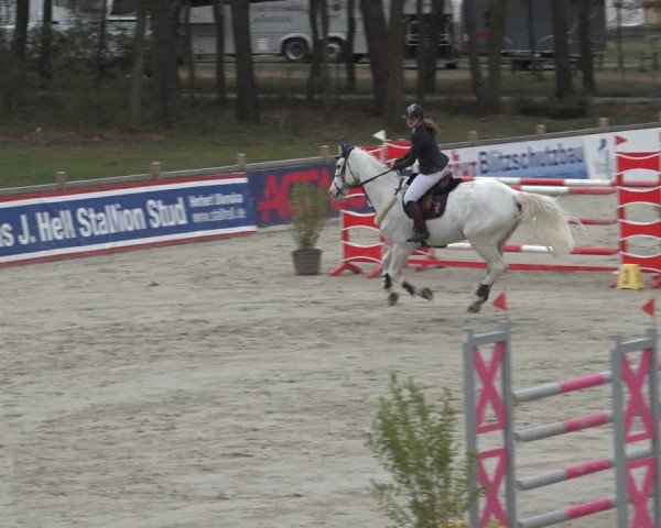 FEI Reitturnier Westergellersen (GER) 2022