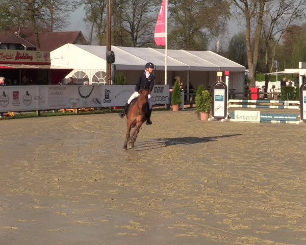 Reitturnier Münster-Handorf | Champs of Tomorrow 2022