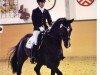 dressage horse Diederick Mathie (Oldenburg, 2007, from De Niro)