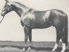 stallion Renoir II (Westphalian, 1982, from Romadour II)