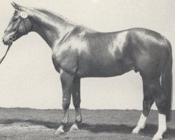 stallion Renoir II (Westphalian, 1982, from Romadour II)