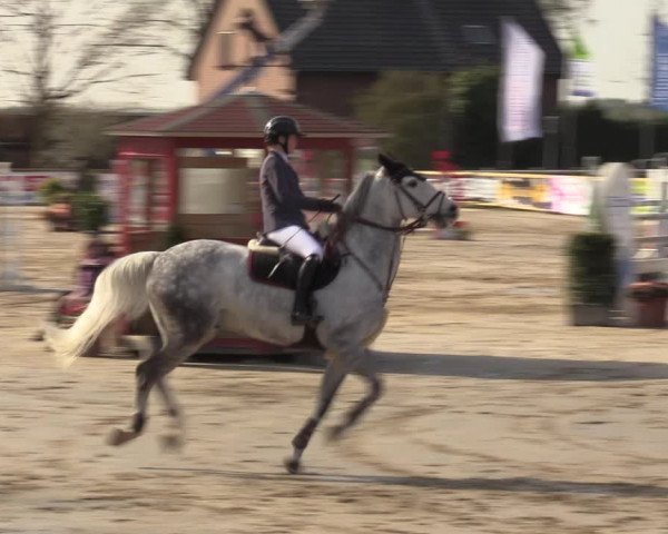 Lenklarer Reitertage 2022 (Werne)