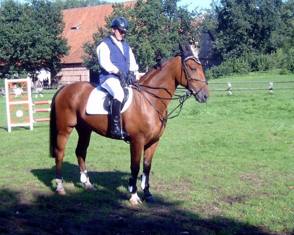 Pferd Okko (Schweres Warmblut, 1998, von Victor II)