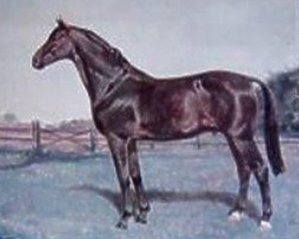 stallion Feiertag III (Hanoverian, 1938, from Feiner Kerl)