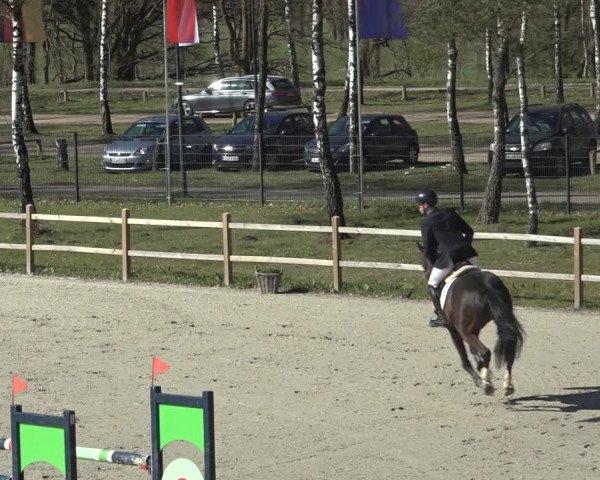 FEI Reitturnier Westergellersen (GER) 2022