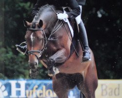 broodmare Belle Amie 45 (Westphalian, 2004, from Balou du Rouet)