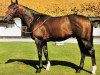 stallion Formidable xx (Thoroughbred, 1975, from Forli xx)