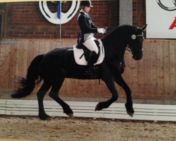 dressage horse Age van Ravensbos (Friese, 2000, from Folkert 353 Sport)