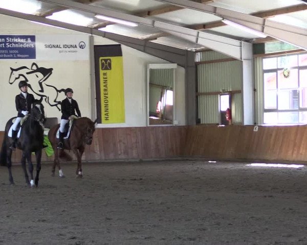 Reitturnier Dohren 2022