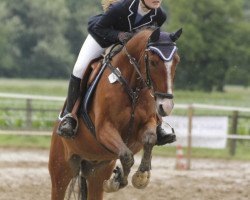 Springpferd Nonvalleur (Deutsches Reitpony, 2000, von Nantano)