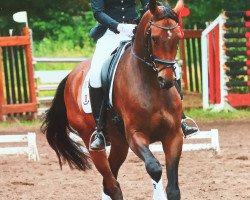 dressage horse Fürst Angelo J (Zweibrücken, 2011, from Falcao)