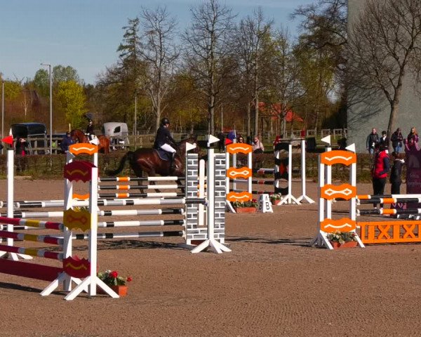 Reitturnier Neustadt/Dosse 2022