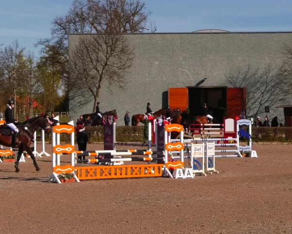 Reitturnier Neustadt/Dosse 2022