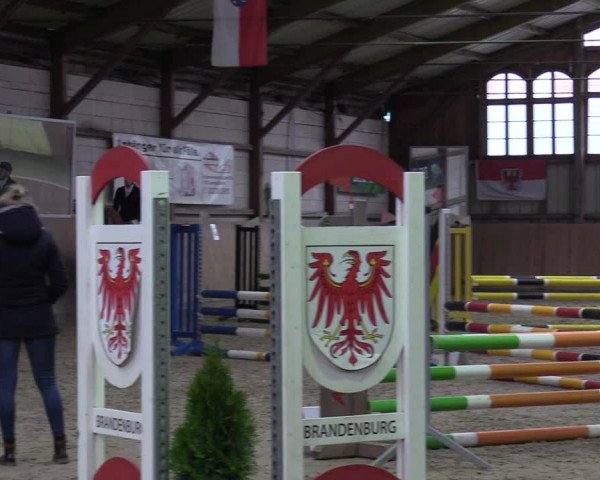 Reitturnier Elisenau 2022