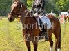 dressage horse Freeland (Westphalian, 1997, from Feuerglanz)