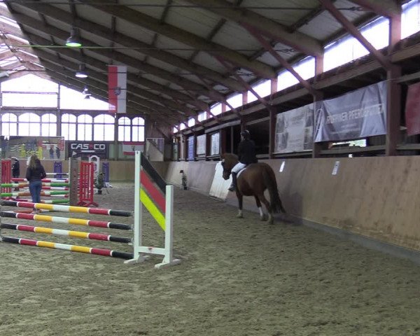 Reitturnier Elisenau 2022