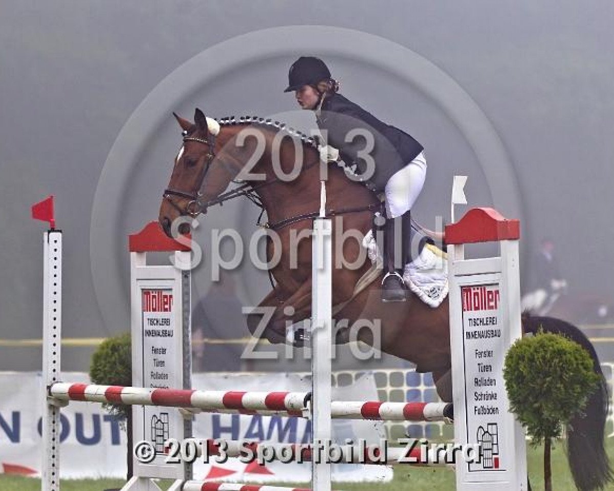 jumper Quicktip (Westphalian, 2008, from Quinta Real)