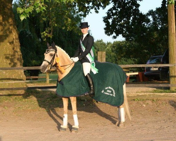 Zuchtstute Golden Queen Be (Deutsches Reitpony, 1997, von Golden Dream R)