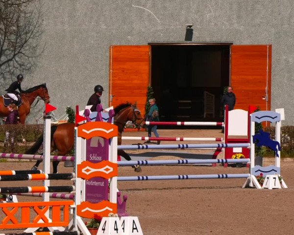 Reitturnier Neustadt/Dosse 2022