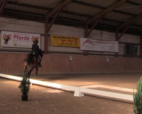 Reitturnier Elisenau 2022