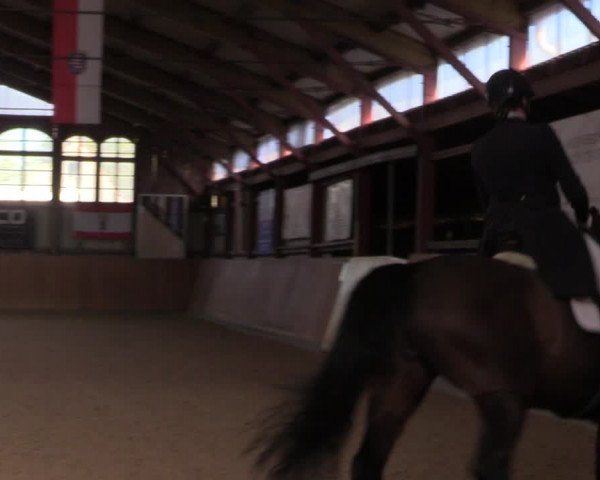 Reitturnier Elisenau 2022