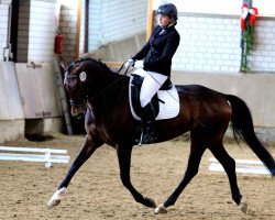 dressage horse Dorina's Diamond (Westphalian, 2008, from Don Frederico)