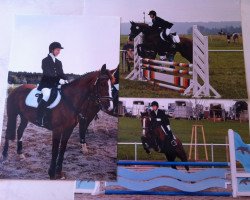 dressage horse Dejabelle (Oldenburg, 1995, from Duntroon)