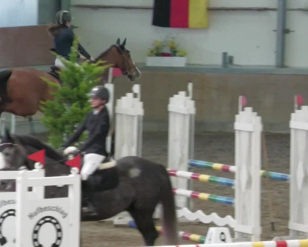Reitturnier Waghäusel-Wiesental 2022