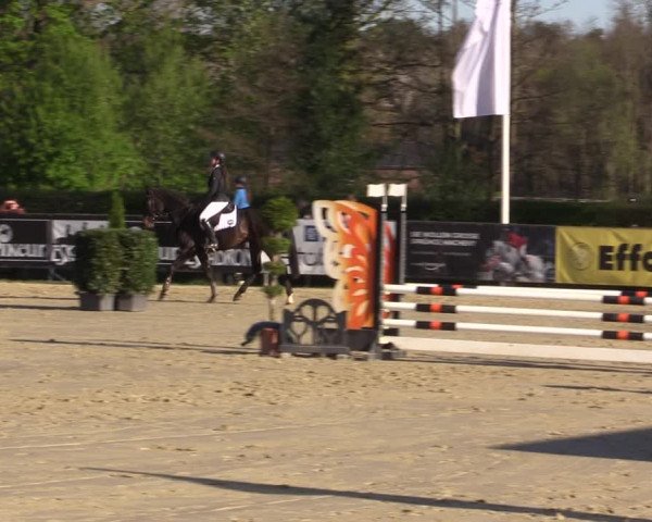 Reitturnier Münster-Handorf | Champs of Tomorrow 2022