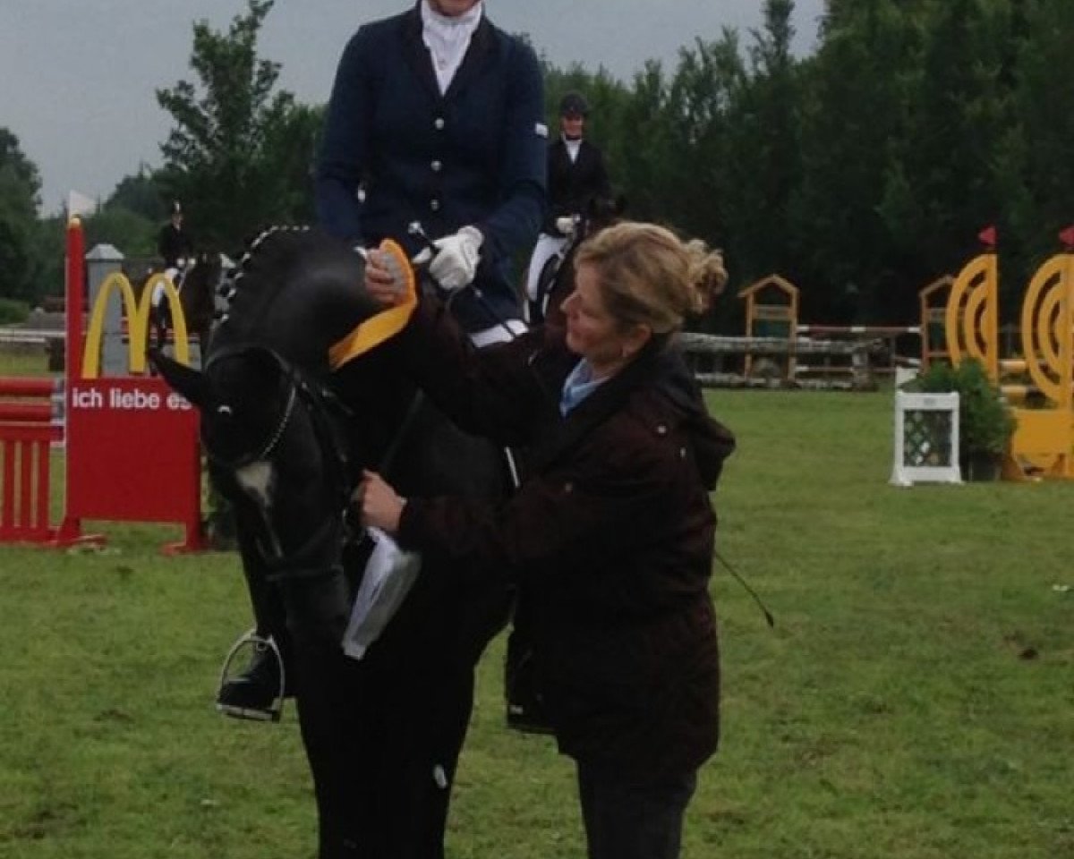 stallion Black Champion (German Riding Pony, 2008, from Black Boy)